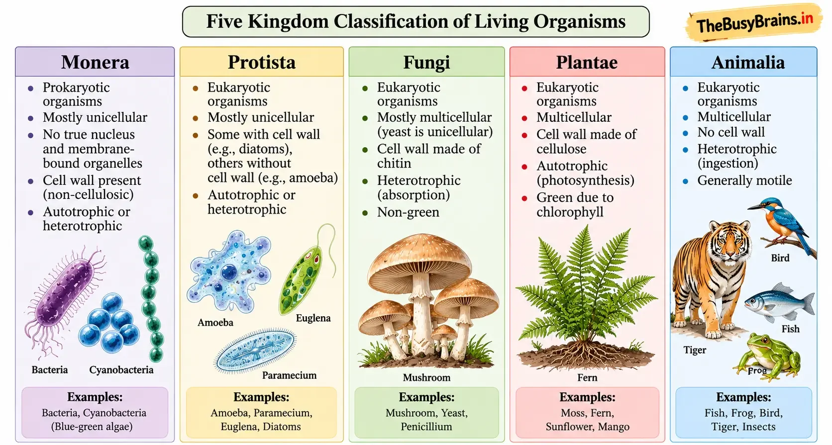 Five Kingdom Classification of Living Organisms – Monera, Protista, Fungi, Plantae and Animalia