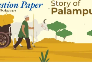 Question Paper