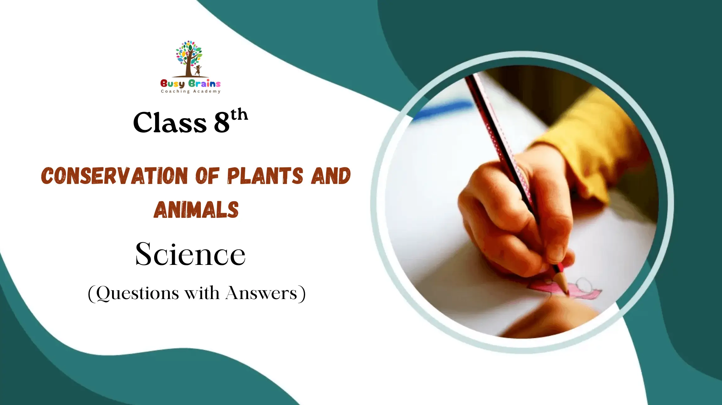 Conservation of Plants and Animals