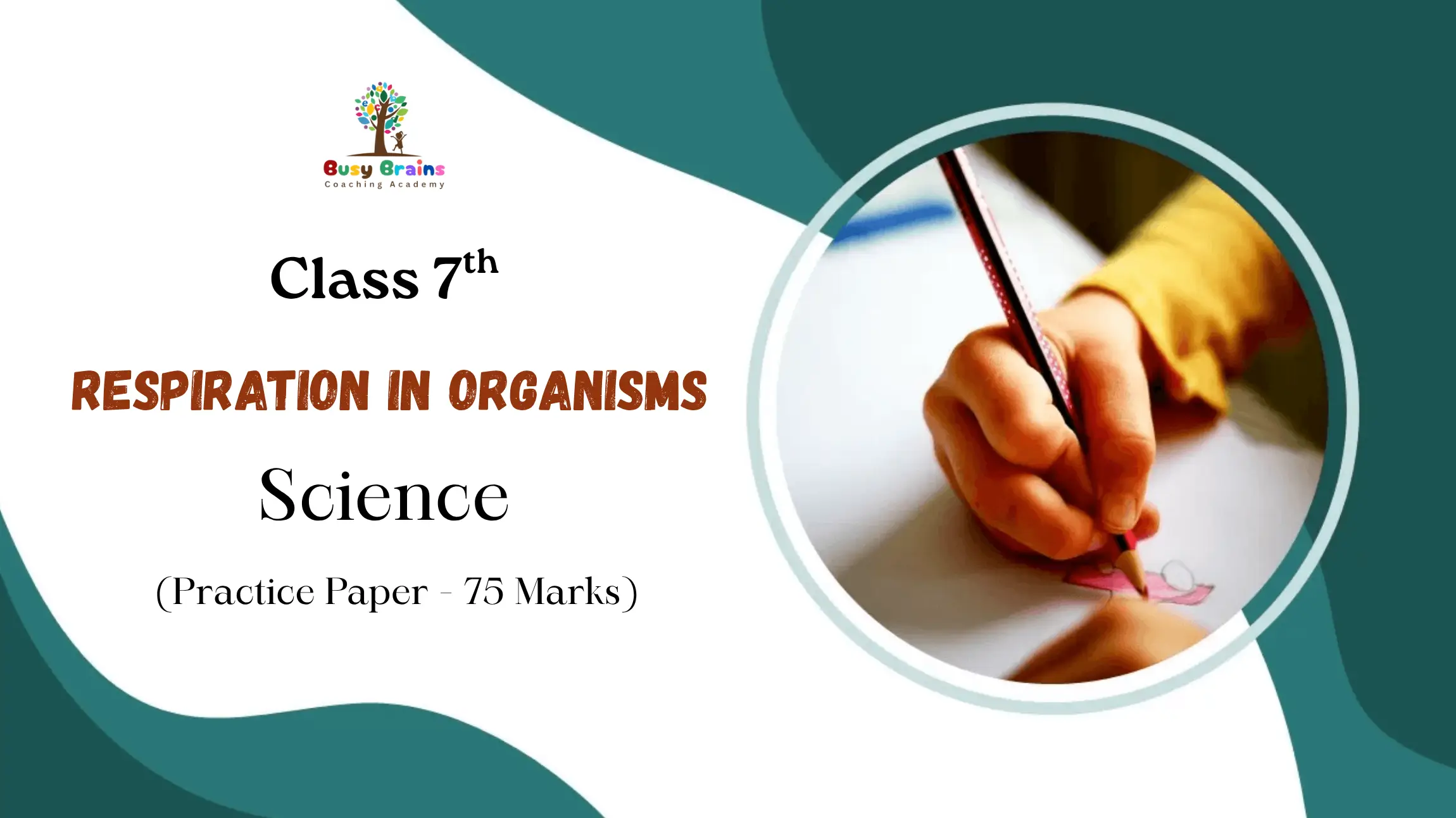 Respiration in Organisms