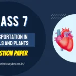 Transportation in Animals and Plants