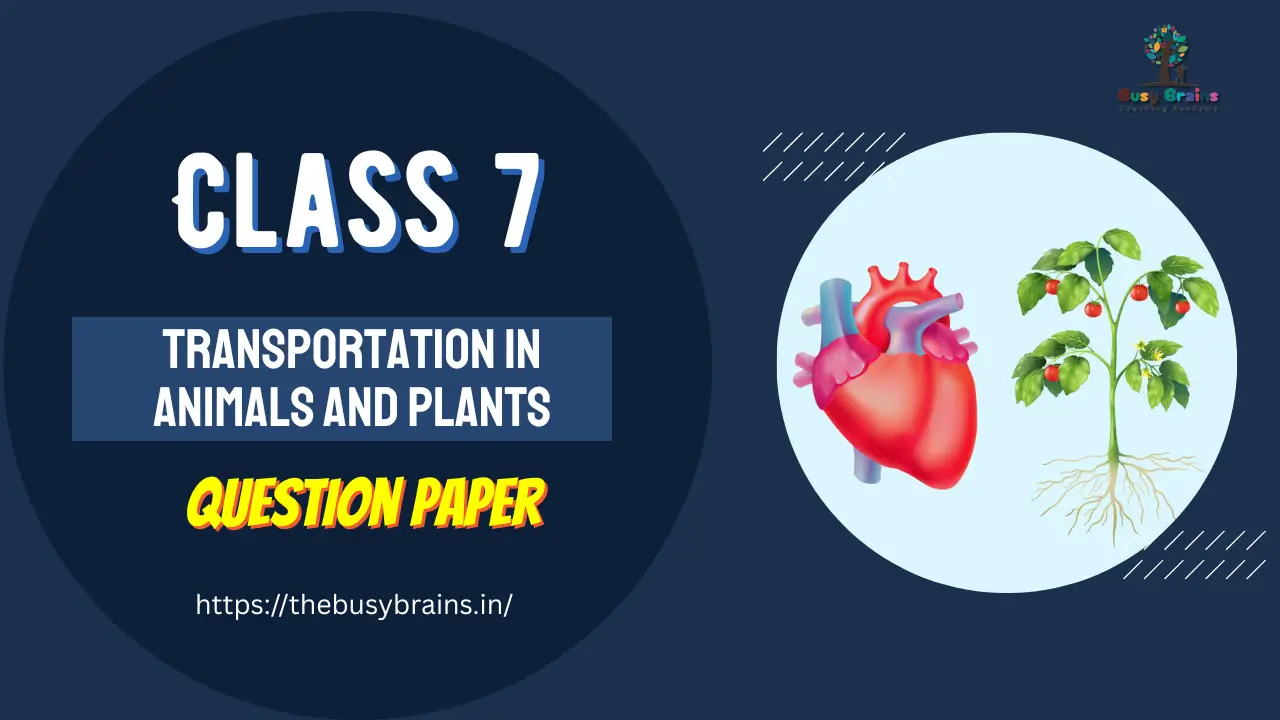 Transportation in Animals and Plants