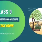 Class 9 – Natural Vegetation and Wildlife