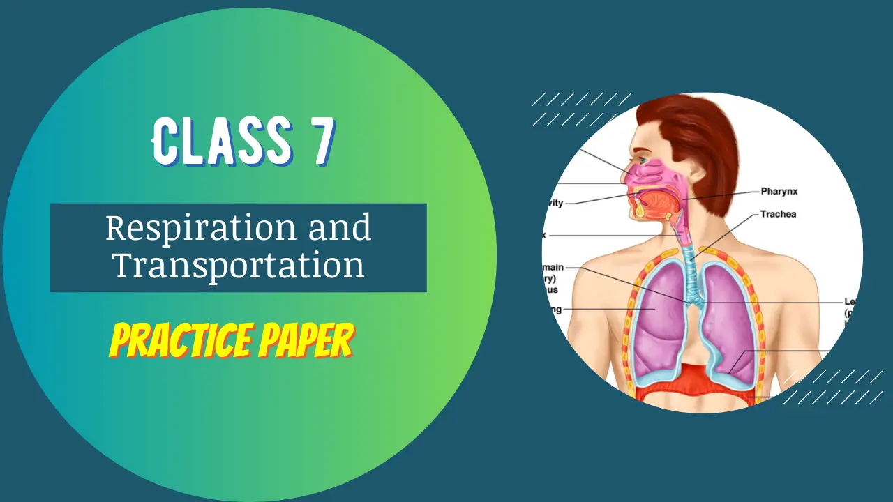 Respiration and Transportation