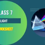 light-class-7-worksheet