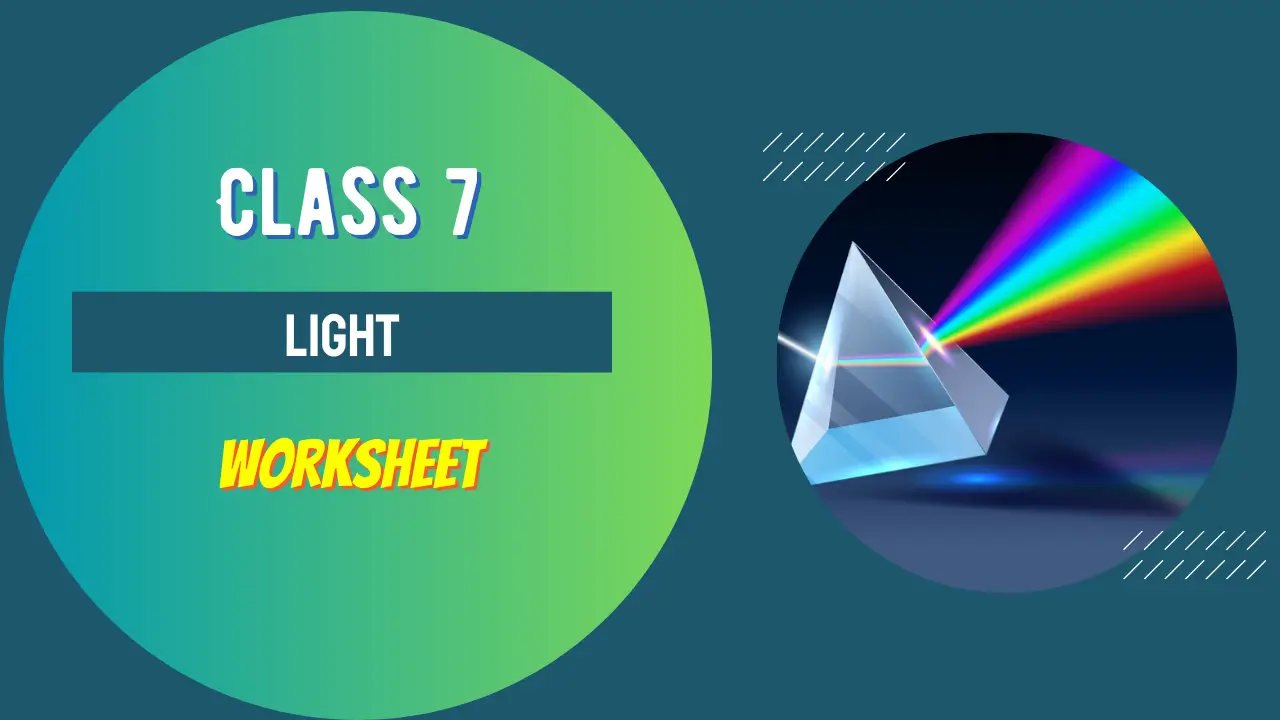 light-class-7-worksheet
