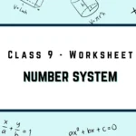 number system worksheet
