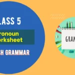 Class-5-Pronoun