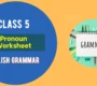 Class 5 Pronoun 90x80
