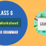 Class-6-Noun