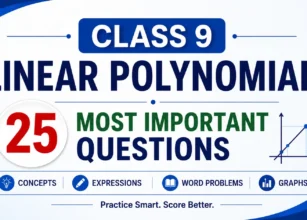 Class 9 Linear Polynomials