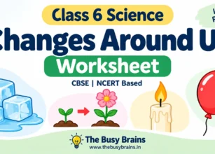 Class 6 Changes Around Us Worksheet