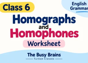 Class 6 Homographs and Homophones Worksheet