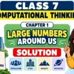 Large-Numbers-Around-Us