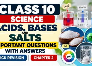 Class 10 Acids, Bases and Salts Revision