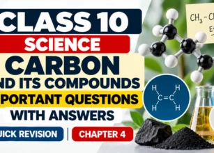 Class 10 Carbon Chemistry Revision