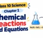 Class 10 Chemical Reactions Cover 90x80