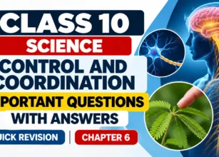 Class 10 Control and Coordination Revision