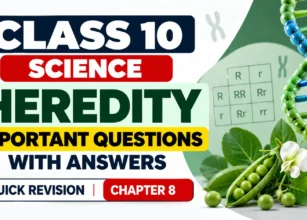 Class 10 Heredity Quick Revision