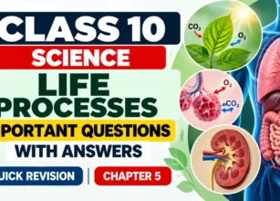 Class 10 Life Processes_ Quick Revision