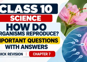 Class 10 Science_ Reproduction Revision