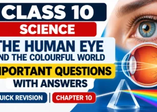 Human Eye_ Colourful World Revision