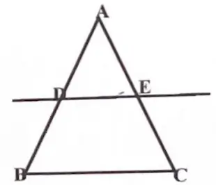 Class 10 Maths Question 33 triangle ABC with D and E on its sides and DE parallel to BC