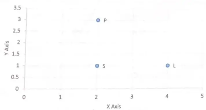 Class 10 Maths Question 36 coordinate graph showing Panchayat P, School S and Library L